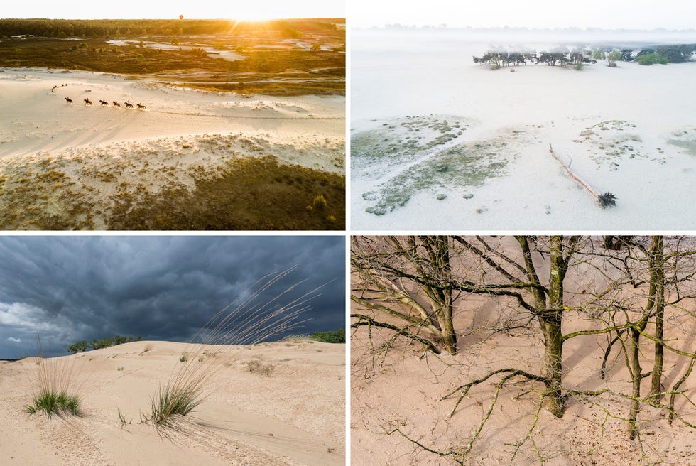 Linksboven Paarden galopperen over het zand bij zonsondergang De aanwezige wandelaars hardlopers en fietsers zorgen ervoor dat het gebied niet dichtgroeitRechtsboven Als je De Loonse en Drunense Duinen via Bosch en Duin betreedt is dit het eerste stuk zand dat je tegenkomt Op de gevallen boomstam kunnen wandelaars even uitrusten Linksonder Een dreigende lucht boven het zand en de duinen Aan het zand is te zien dat het kort hiervoor regende Binnen een kwartier is het zand weer droog en kan de wind ermee aan de haal Rechtsonder De foto is een dag na een flinke zandstorm gemaakt Door het bewegende zand zijn veel bomen ingestuifd