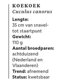 Dit is een afbeelding