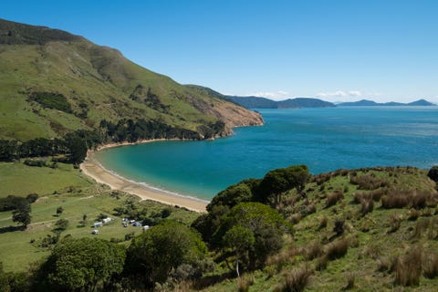Uitzicht over de Marlborough Sounds