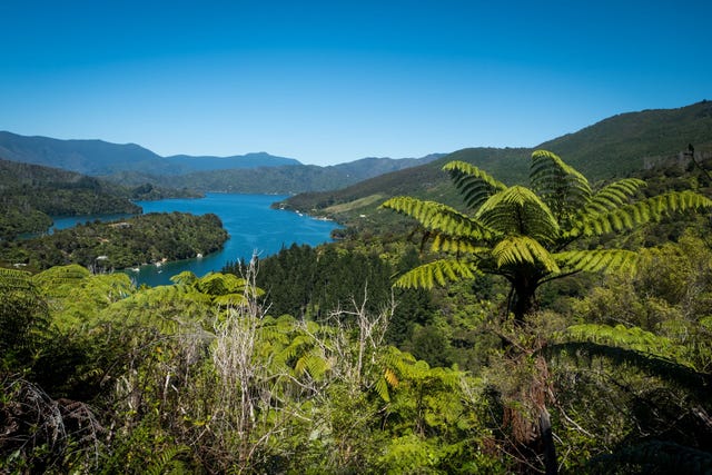 Uitzicht over de Queen Charlotte Sound