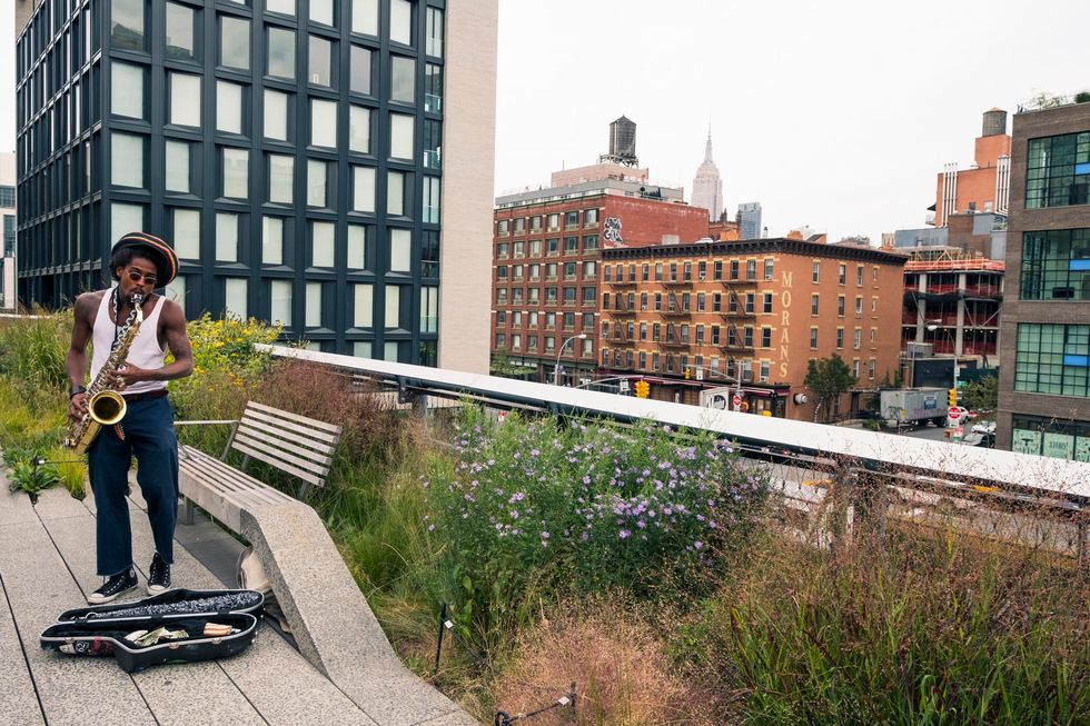 Een muzikant op de High Line