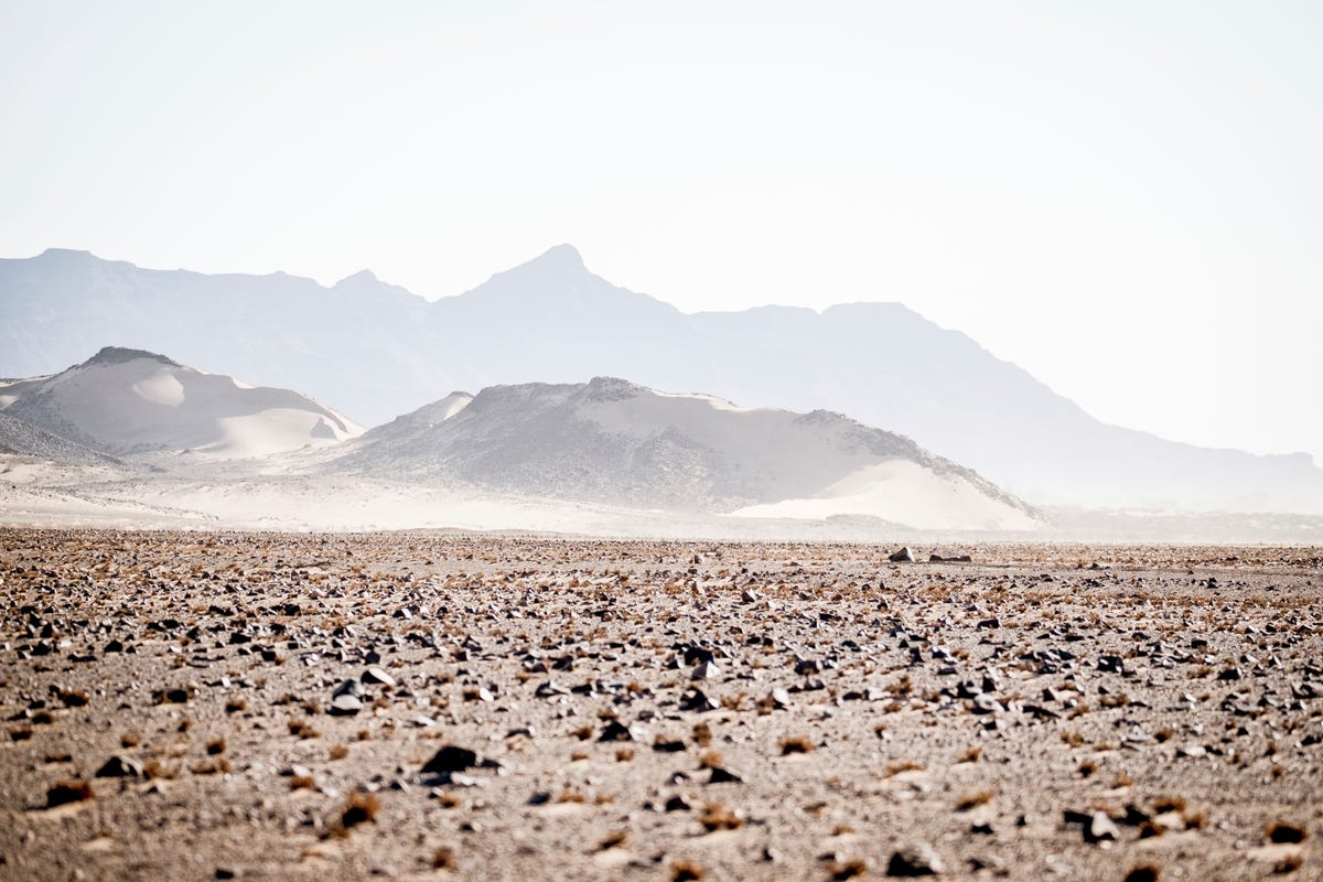 In de droge rivierbeddingen van de Namibische regio Kunene leven s werelds laatste woestijnolifanten