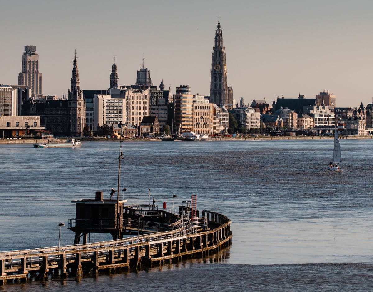 Uit een studie van het Nederlands Instituut voor Onderzoek der Zee NIOZ en de Universiteit Antwerpen bleek onlangs dat er in 2008 sprake was van een abrupte toename van zestig procent van het aantal zwevende deeltjes in het Scheldeestuarium