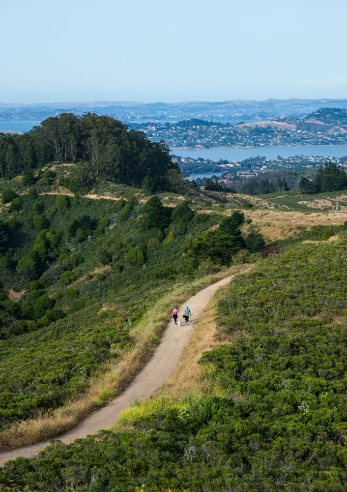 Over de brug vind je in Marin County de prachtigste wandelroutes