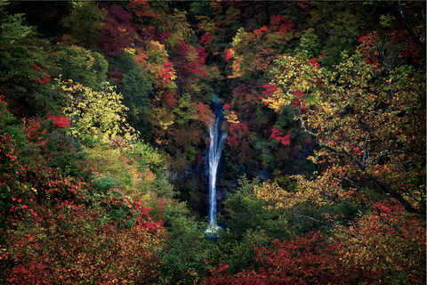 Levendige herfstkleuren omringen de Komadome Falls in Nasu Japan Nasu ligt bijna 200 kilometer ten noorden van Tokio en staat bekend om zijn prachtige wandelroutes
