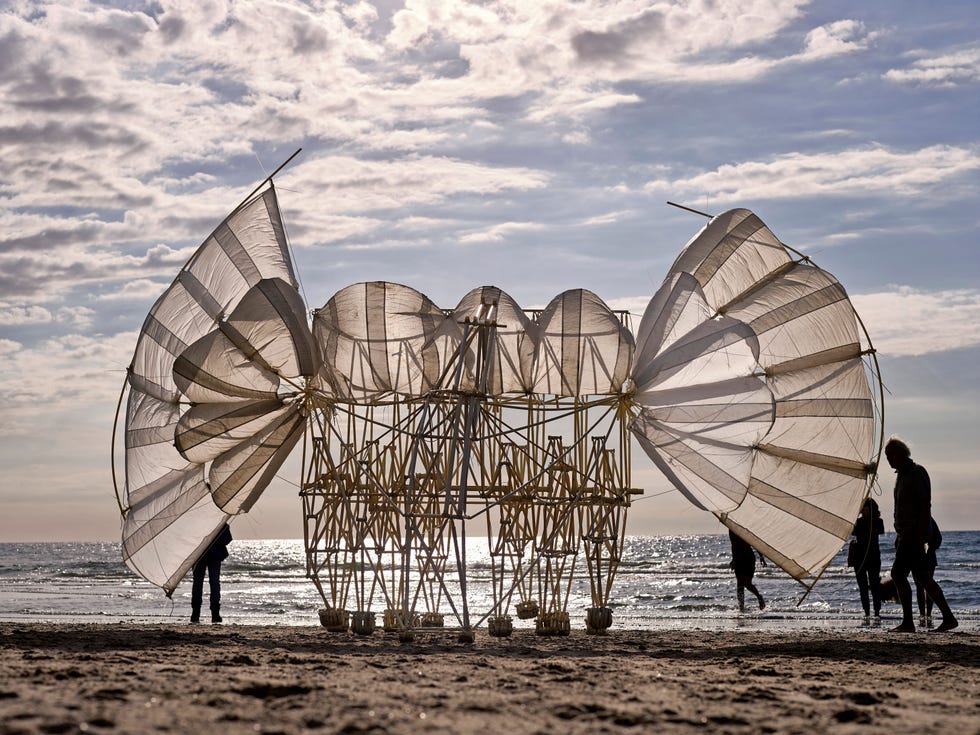 Theo Jansen is ervan overtuigd dat zijn strandbeesten zullen voortbestaan Het geknutsel van de gebroeders Wright op het strand van Kitty Hawk leverde een gebrekkig vliegtuig op maar dat heeft wel ontelbaar veel nakomelingen gehad