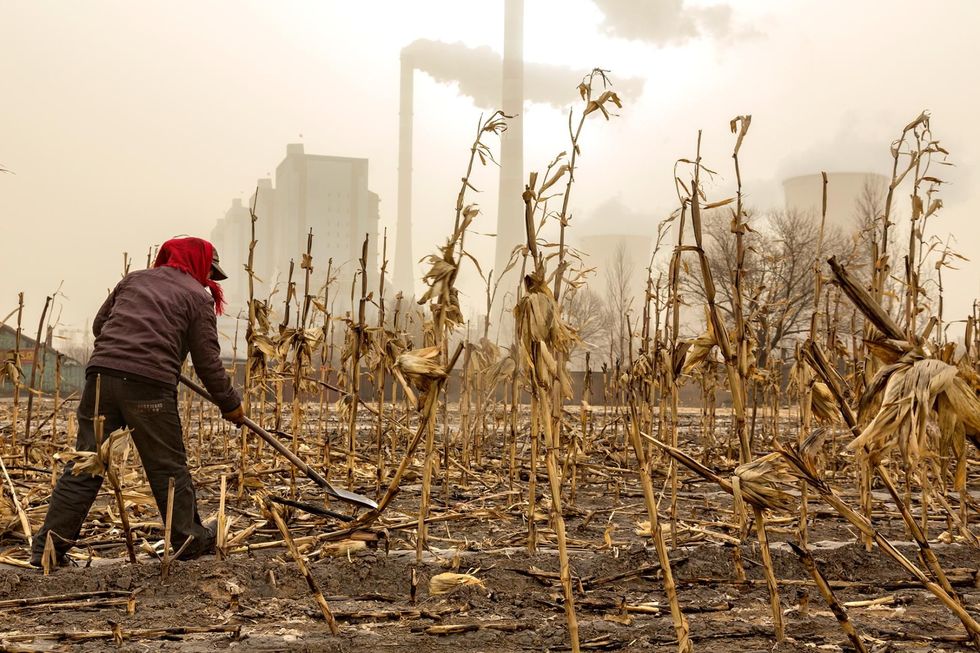 Tussen de met roet bedekt masstengels van vorig jaar bereid een boer zich voor op de lente met op de achtergrond de steenkoolcentrale in de provincie Shanxi China