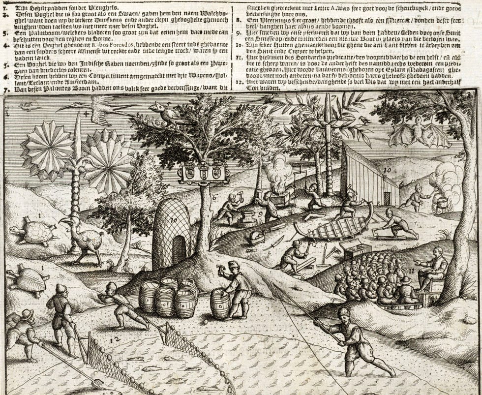 Kopergravure uit Het Tweede Boeck met Nederlandse activiteiten aan de kust van Mauritius tijdens de 1598reis van admiraal Jacob van Neck Het is de eerste gepubliceerde afbeelding van de dodo