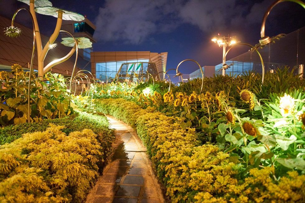 In Changi zijn ruim een half miljoen planten geplaatst als wandtapijten aan de muur en in diverse tuinen