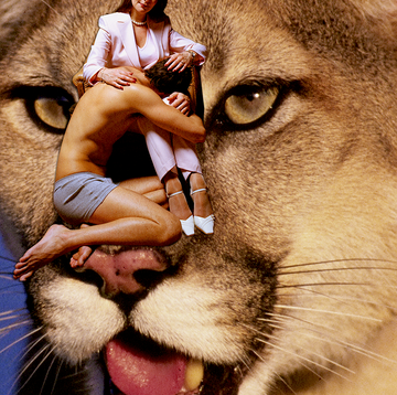 a man cuddling in a woman's lap with a cougar in the background