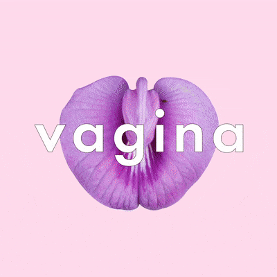 Words For Vagina: The Ultimate Vagina Slang Guide