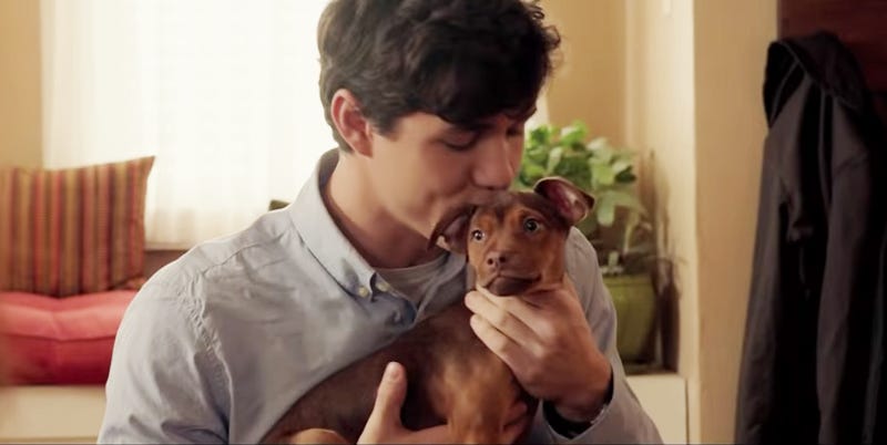 See the 'A Dog's Way Home' Emotional First Trailer