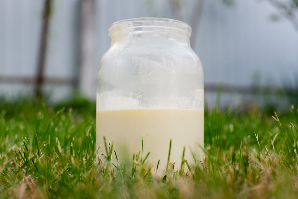 a glass jar with non homogenized, whole milk