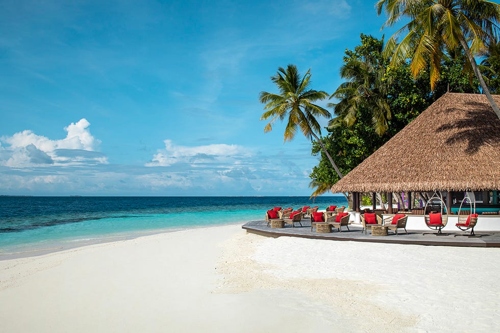 panduan ke maldives tempat tinggal, tempat makan, dan apa yang harus dilakukan