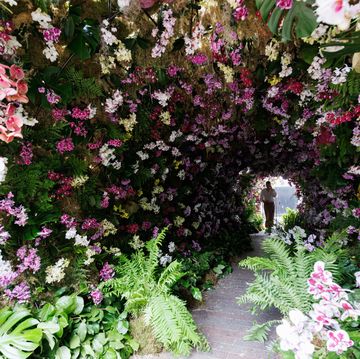 belgravia in bloom into the wild themed installations