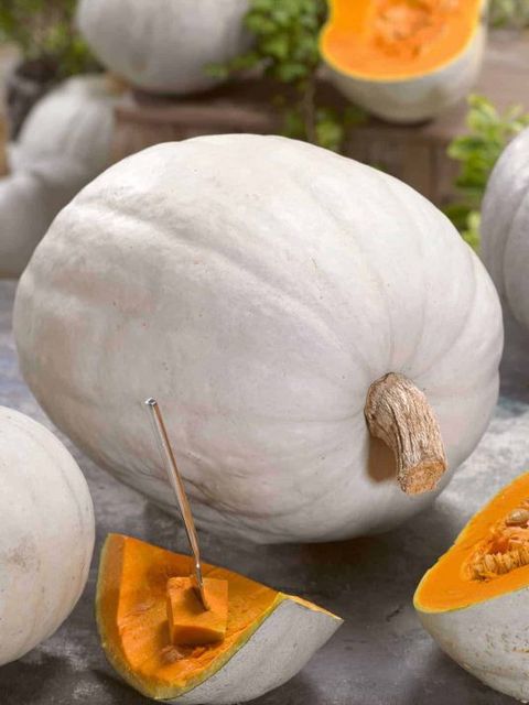 types of pumpkin like the super moon variety