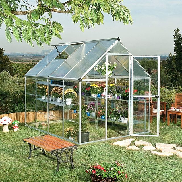 amazon backyard greenhouse