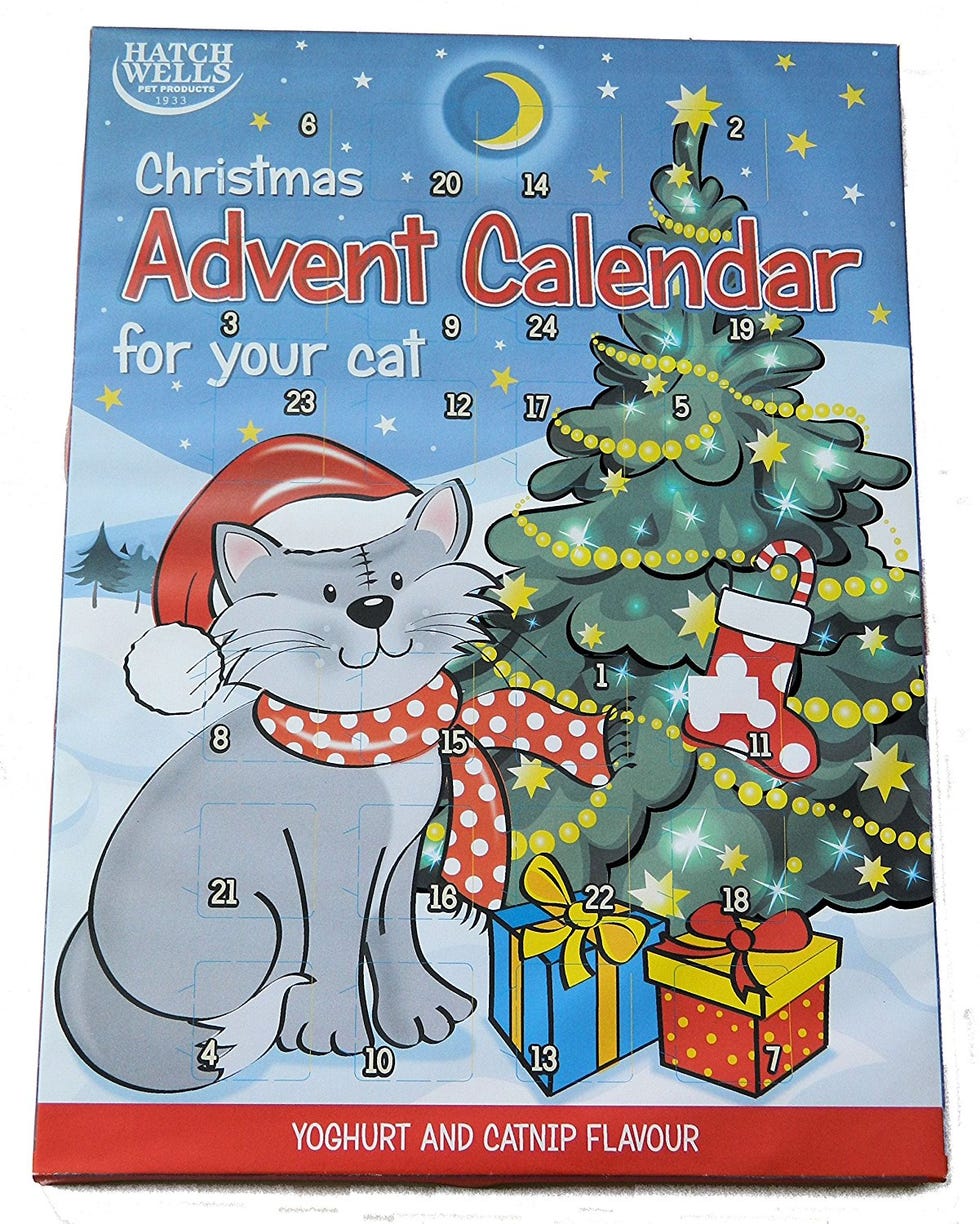 10 Best Cat Advent Calendars - Christmas Advent Calendars for Cat Lovers