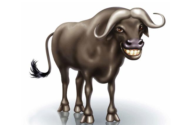 disegno di un bufalo