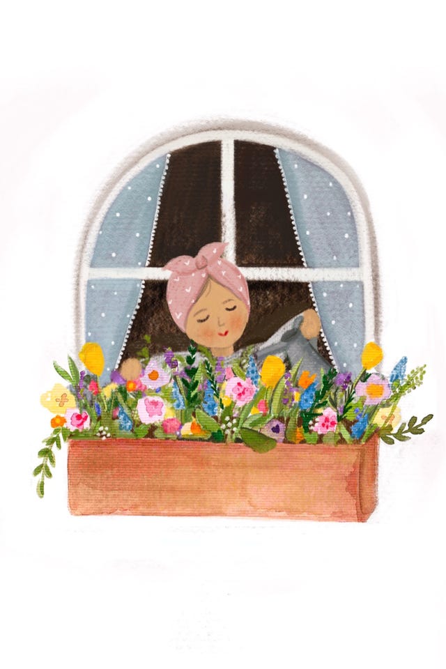 window box trends