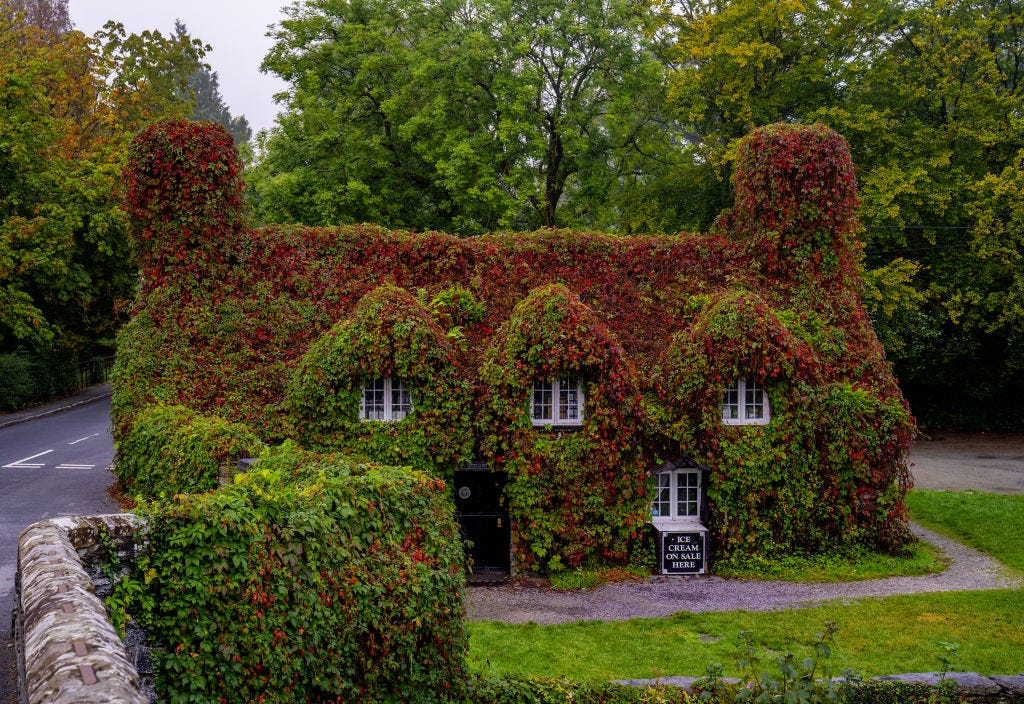 A quaint, ivy-covered cottage with a sign indicating ice cream for sale.