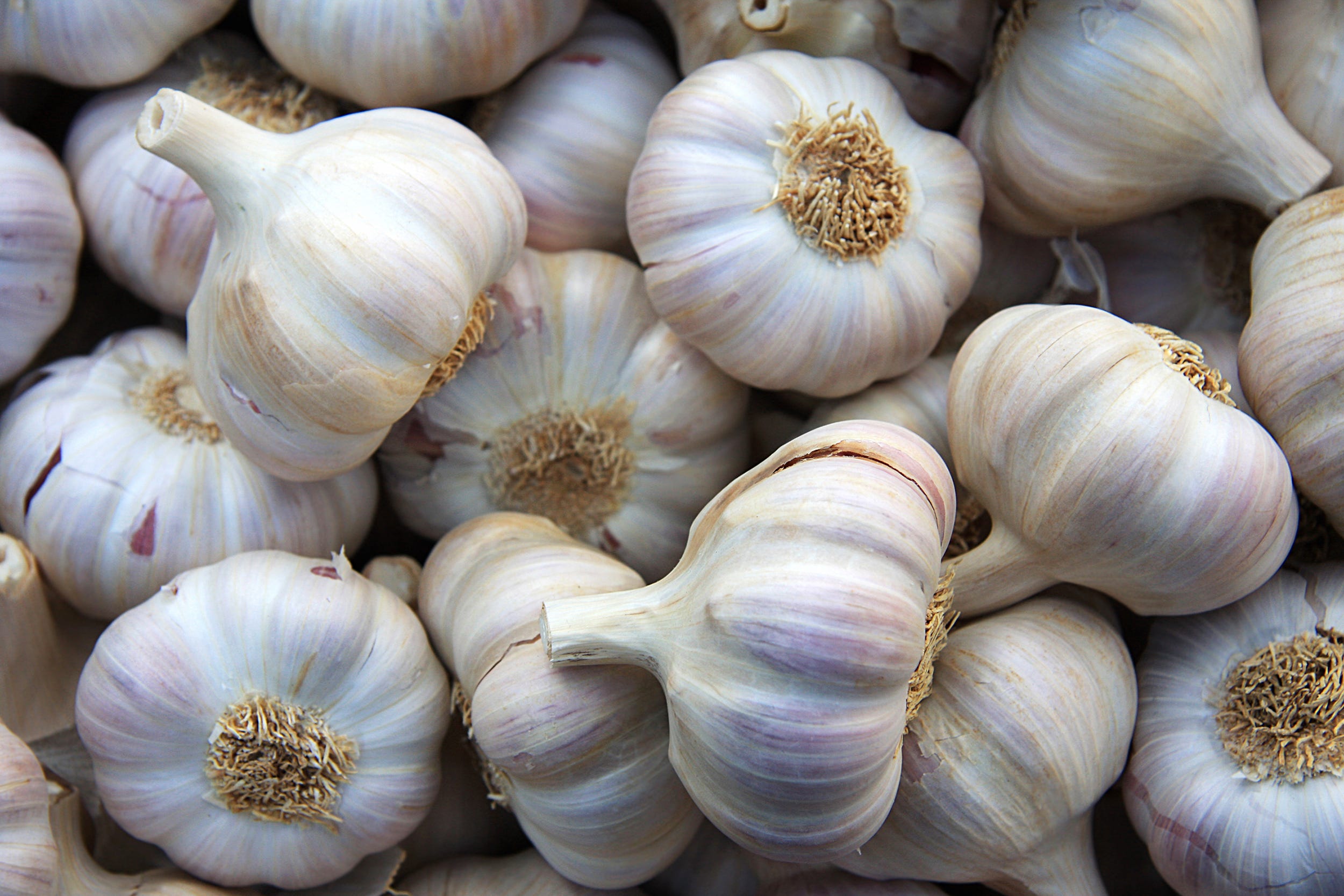 Top 8 Garlic Health Benefits, Backed by Research