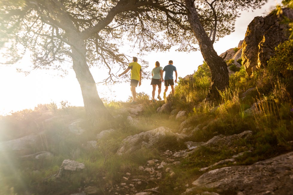 People in nature, Nature, Photograph, Atmospheric phenomenon, Tree, Sunlight, Light, Natural landscape, Morning, Trail, 