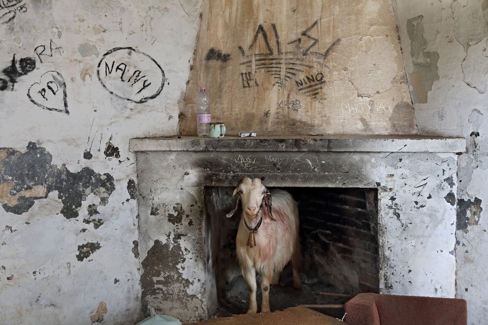 Oggi i pastori locali utilizzano gli edifici abbandonati del Villaggio Asbroni per allevare il loro bestiame
