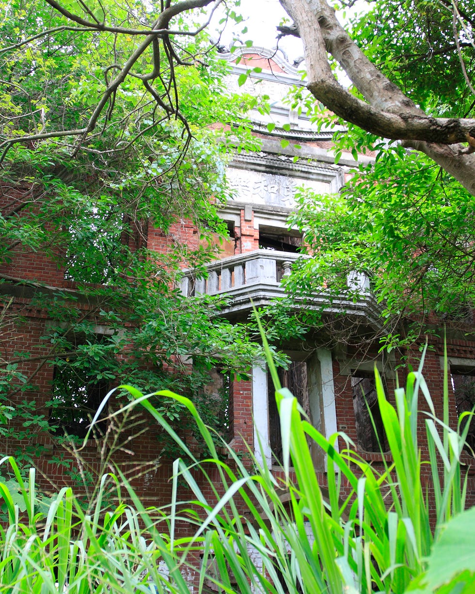 Vegetation, Nature, Green, Natural environment, Property, Leaf, Botany, Forest, Terrestrial plant, Chinese architecture, vegetation, nature, green, natural environment, property, leaf, botany, forest, terrestrial plant, chinese architecture,
