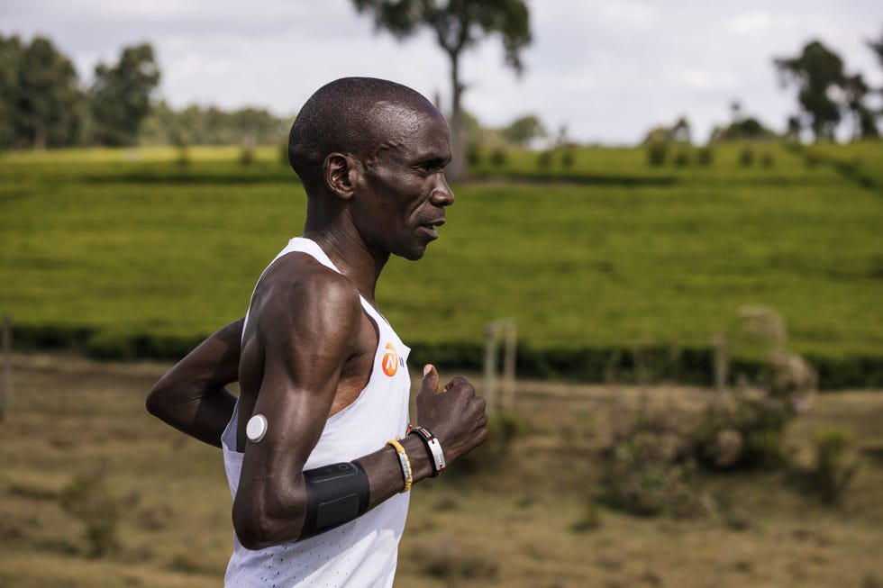 kipchoge sensore abbott