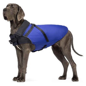 abrigo para perros