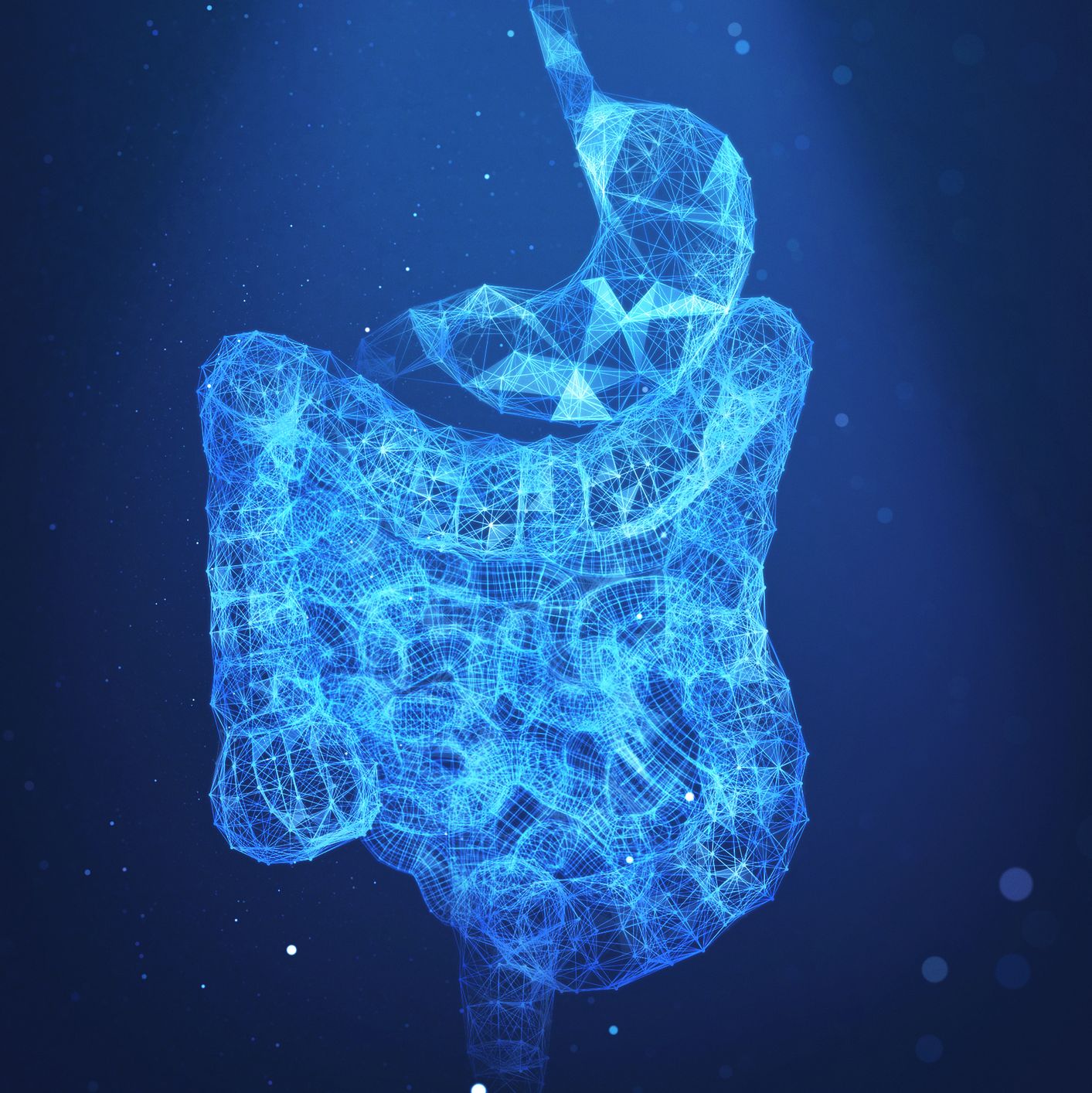Scientists May Have Found Humanity's Sixth Sense—In Our Gut