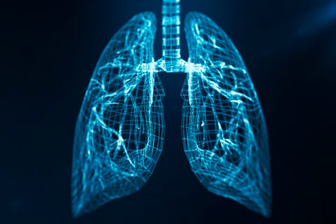 polmone del plesso astratto