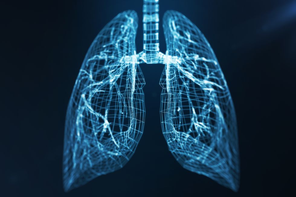 abstract plexus lung