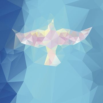 abstract triangular design forming a dove