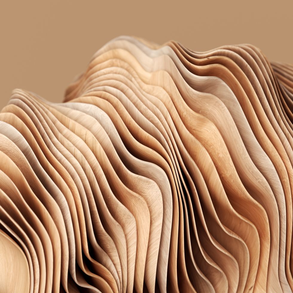 abstract wooden twisted shapes