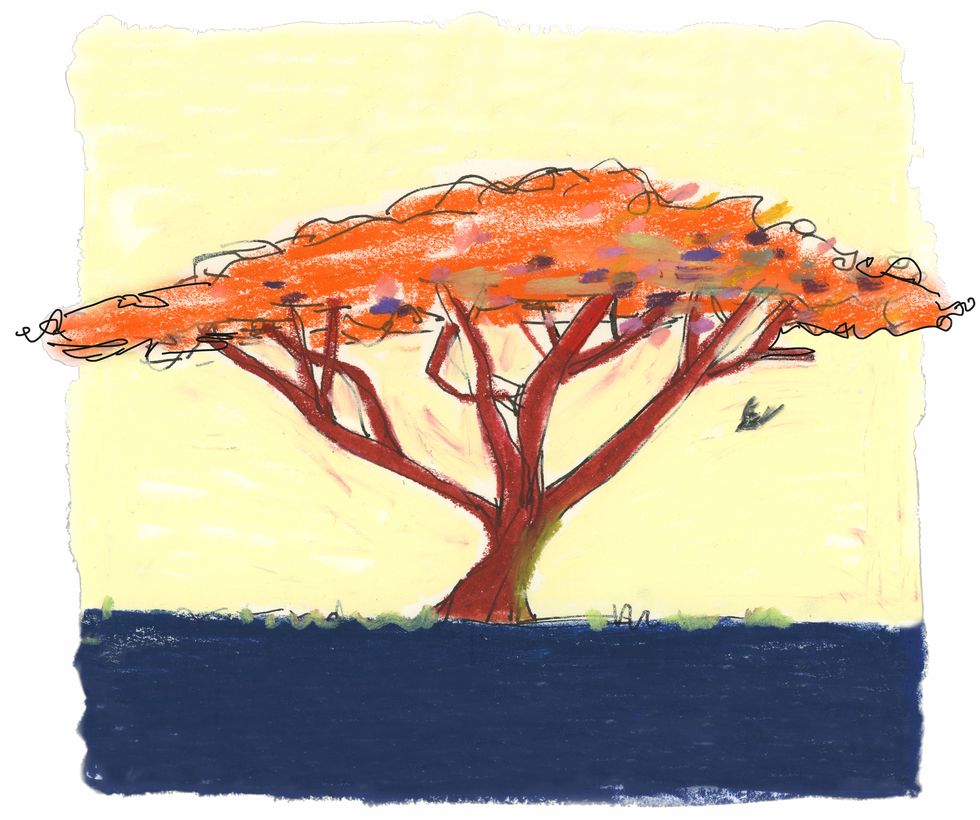 illustration by isabella cotier of a tree