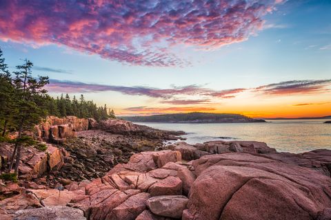 rocky coastline with evergreens and a blue, purple and orange sunrise