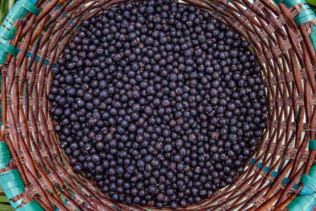 acai berries