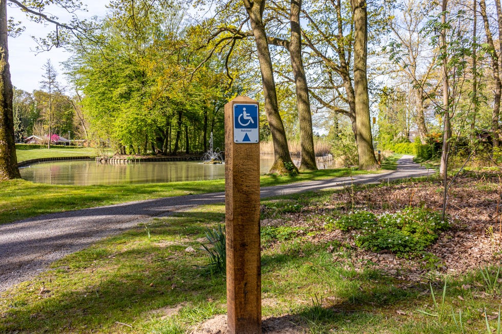 Disabled hiking sign in a park with a picture and the word 