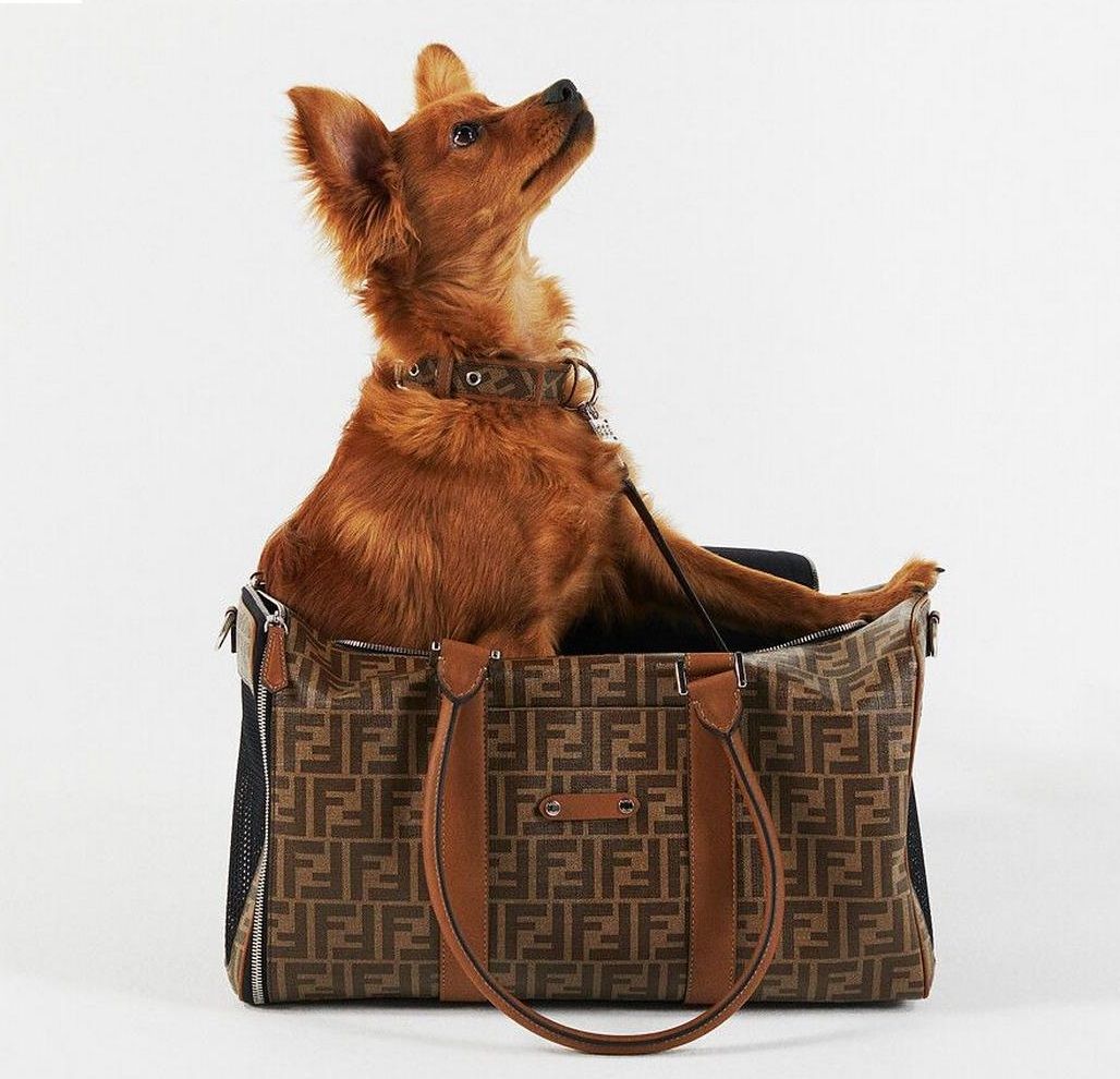 Gli accessori di Fendi per i cani must- have per viaggi di lusso