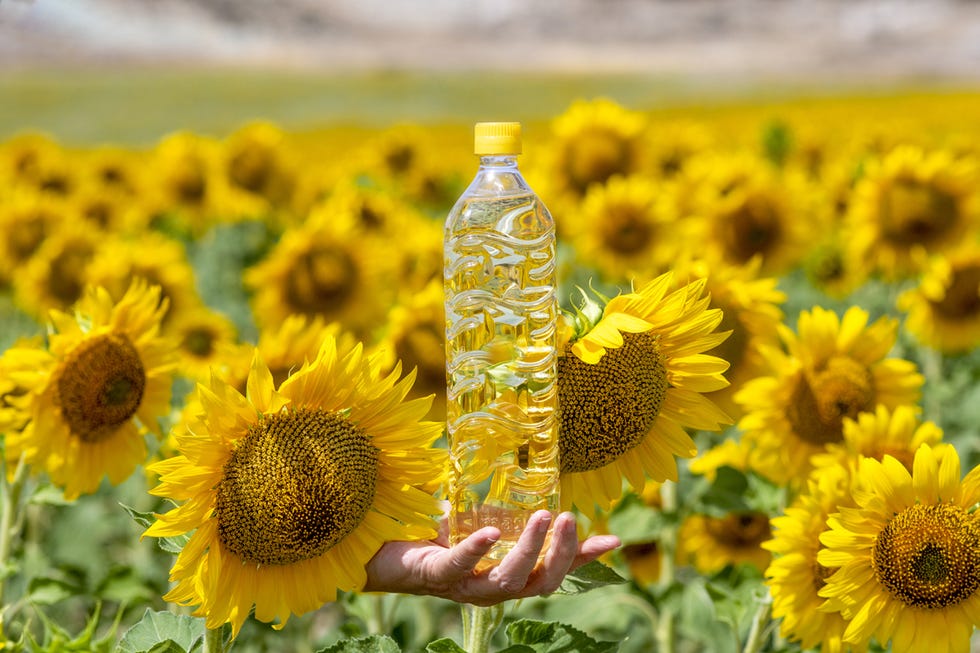 aceites vegetales
