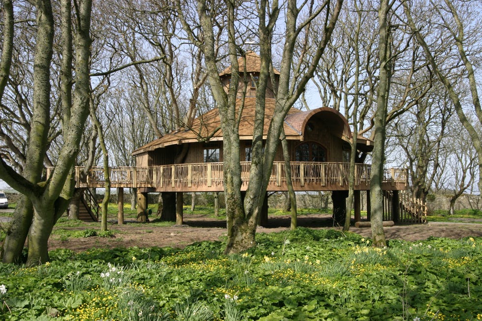 Ackergill Tower - Scotland - tree house - Knight Frank