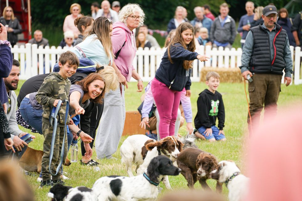 a group of people with dogs at dogstival