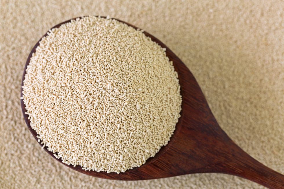 active dry baking yeast granules in wooden spoon