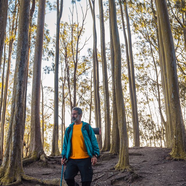 active man enjoying outdoors excursion walking