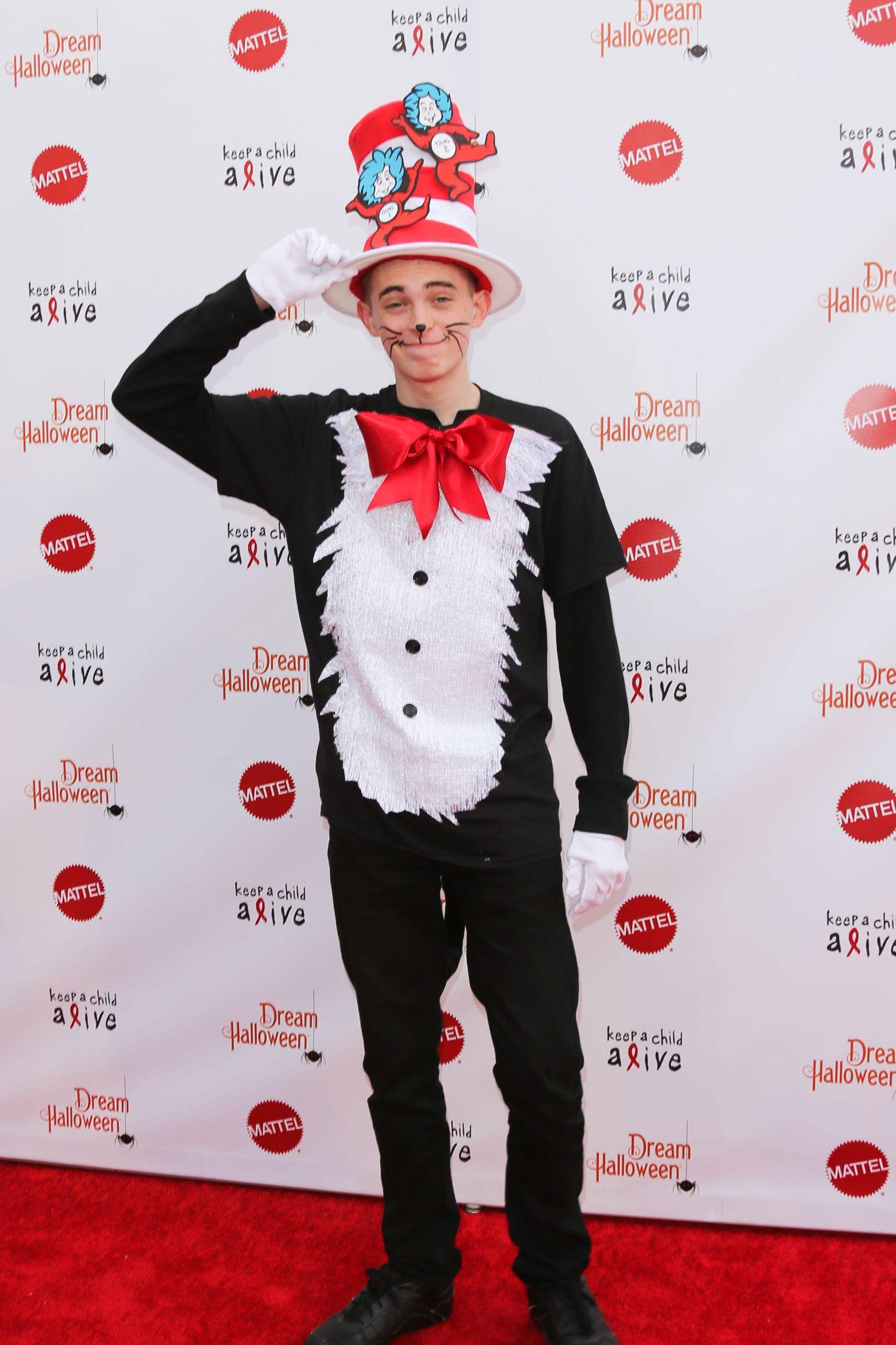 cat in the hat characters costumes