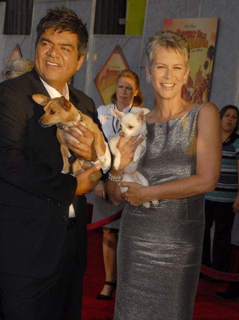world premiere of walt disney pictures "beverly hills chihuahua" arrivals
