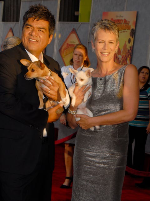 World Premiere of Walt Disney Pictures "Beverly Hills Chihuahua" - Arrivals world premiere of walt disney pictures "beverly hills chihuahua" arrivals