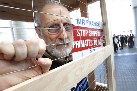 james cromwell leads peta protest against air france's cruelty to monkeys